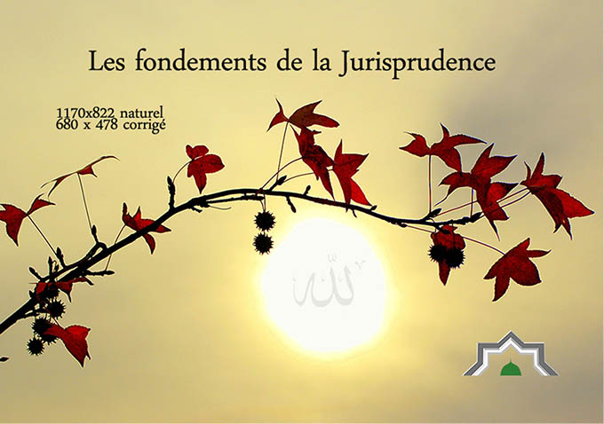 Les fondements de la Jurisprudence2